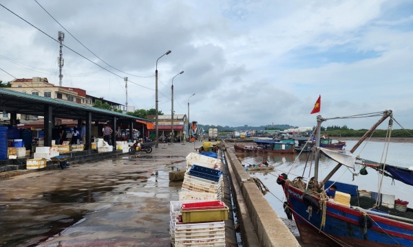 Combating IUU fishing: Hai Phong slowly changes